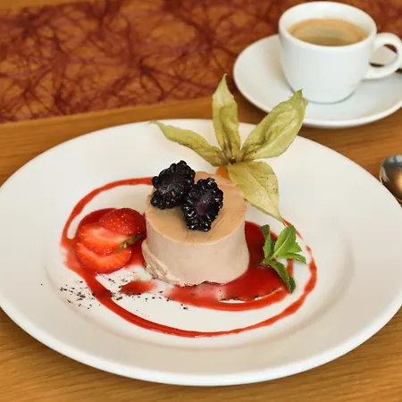 Hotel Amsee 4*